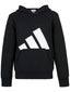 adidas Boy's Fall Big Logo Fleece Hoodie