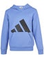 adidas Boy's Fall Big Logo Fleece Hoodie