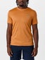 Lacoste Men's Clay Players Top